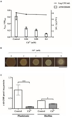 The Response of Cupriavidus metallidurans CH34 to Cadmium Involves Inhibition of the Initiation of Biofilm Formation, Decrease in Intracellular c-di-GMP Levels, and a Novel Metal Regulated Phosphodiesterase